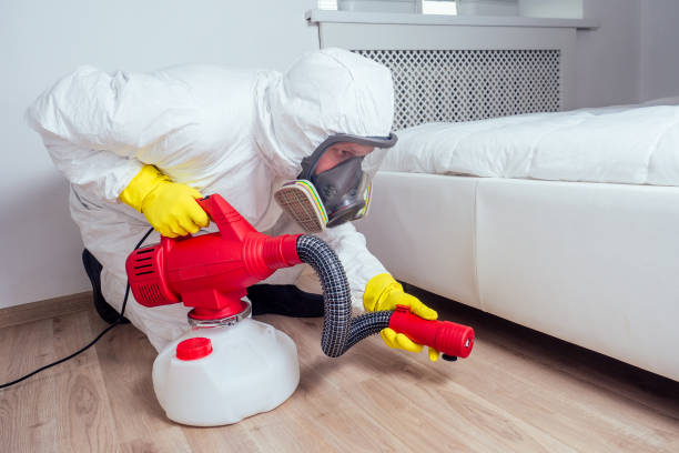 Best Best Pest Control Companies  in Graysville, TN