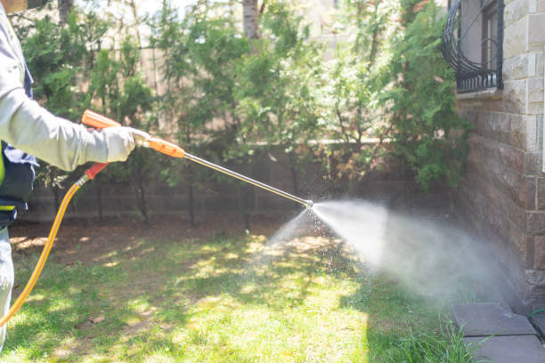 Professional Pest Control in Graysville, TN